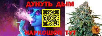 индика Ирбит