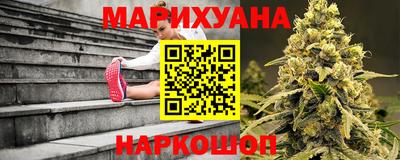 индика Ирбит