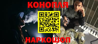 индика Ирбит